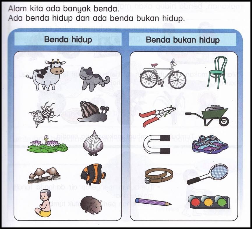 Benda Hidup Adalah – Beinyu.com Benda Hidup Adalah – Beinyu.com